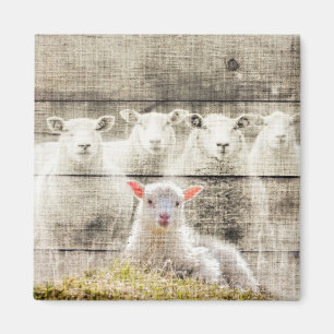 Rustik Schaf Baby Lamm Jute Magnet