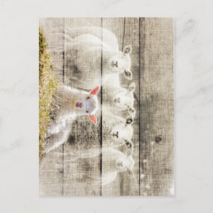 Rustik Schaf Baby Lamm Jute Postkarte