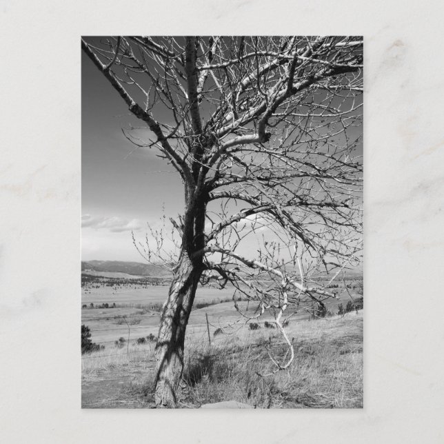 rustikal postkarte (Vorderseite)