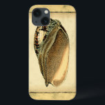 Rustikal Vintag Seashell Case-Mate iPhone Hülle<br><div class="desc">Dieses Kunstwerk von Vision Studio erfasst einige der besten Meereslebewesen. Holen Sie sich dieses rustikale Kunstwerk dieser Conch-Muschel. Nimm das Meer mit,  wohin du auch gehst.</div>