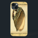 Rustikal Vintag Seashell Case-Mate iPhone Hülle<br><div class="desc">Dieses Kunstwerk von Vision Studio erfasst einige der besten Meereslebewesen. Holen Sie sich dieses rustikale Kunstwerk dieser Conch-Muschel. Nimm das Meer mit,  wohin du auch gehst.</div>