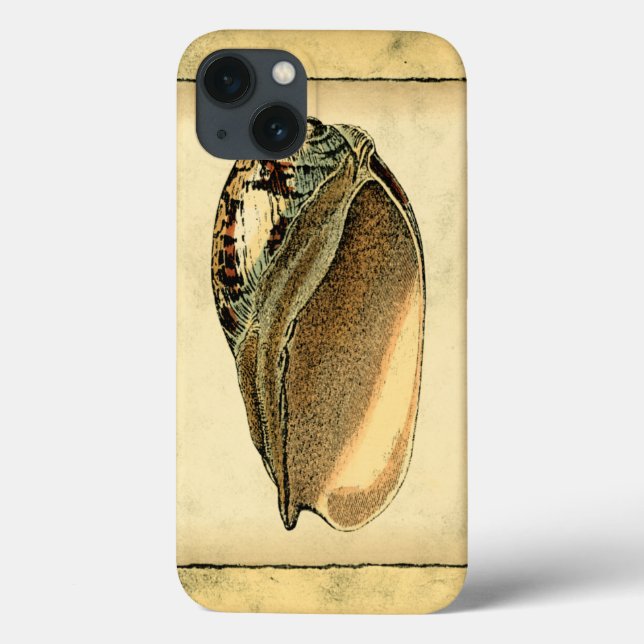 Rustikal Vintag Seashell Case-Mate iPhone Hülle (Rückseite)