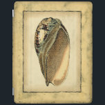 Rustikal Vintag Seashell iPad Hülle<br><div class="desc">Dieses Kunstwerk von Vision Studio erfasst einige der besten Meereslebewesen. Holen Sie sich dieses rustikale Kunstwerk dieser Conch-Muschel. Nimm das Meer mit,  wohin du auch gehst.</div>