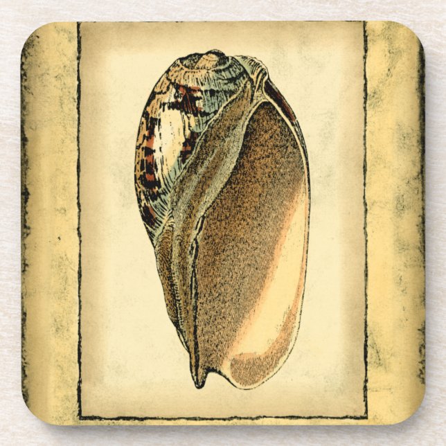 Rustikal Vintag Seashell Untersetzer (Vorderseite)