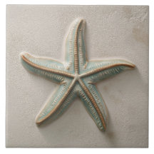 Rustikale Aqua- und Sand-Seestern-Küstenrelief