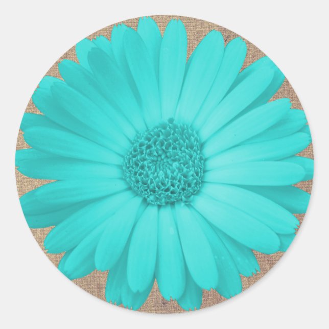 Rustikale Aquamarine Gerber Daisy Round Stickers S (Vorderseite)