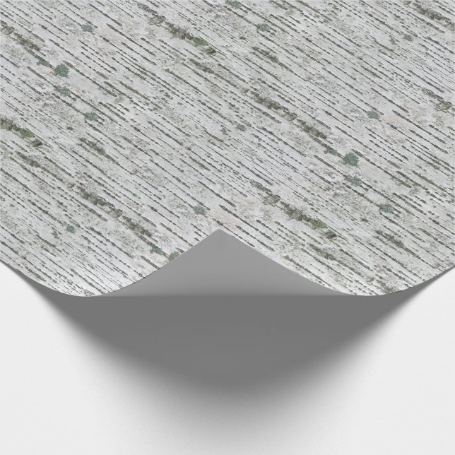 Rustikale Birch Wood White Gray Textur Geschenkpapier (Ecke)