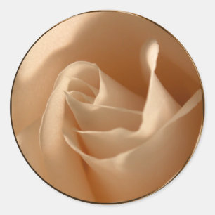 Rustikale Creme Rose Hochzeit Umschlag Aufkleber