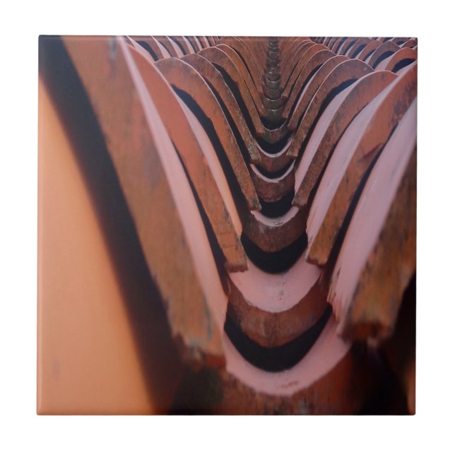 Rustikale Dachziegel mit einzigartiger Perspektive Fliese (Vorderseite)