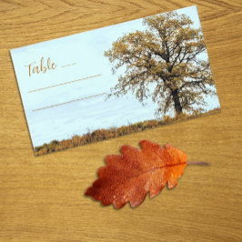 Rustikale Eichen-Herbst-Hochzeit Platzkarte
