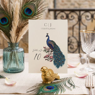 Rustikale Elfenbein-Pfau-Hochzeitstisch-Nummer Tischnummer