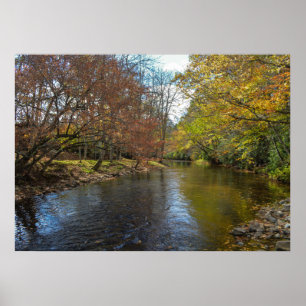 Rustikale Flusslauf-Herbstlaube Naturfotografie Poster