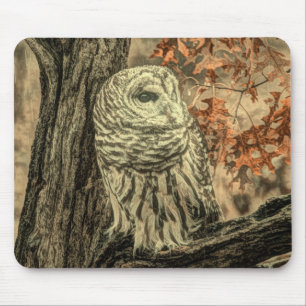 Rustikale Herbstblätter aus Eichenwald Mousepad