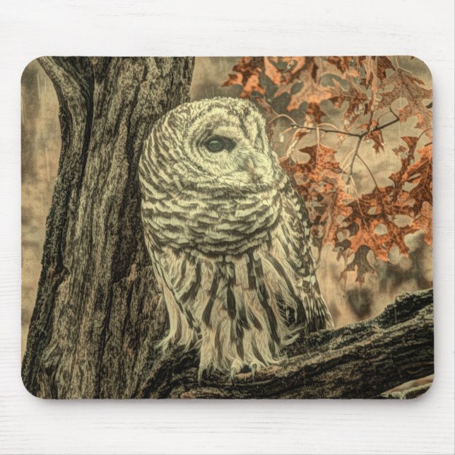 Rustikale Herbstblätter aus Eichenwald Mousepad (Vorne)