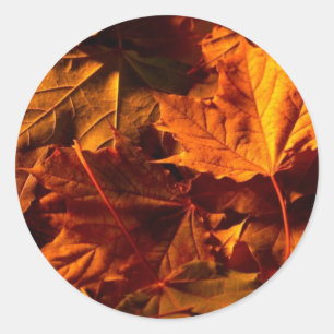 Rustikale Herbstlaub Hochzeit Einladung maßgeschne Runder Aufkleber