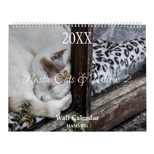 Rustikale Katzen & Kätzchen 2 Wandkalender - HAMby (Titelbild)