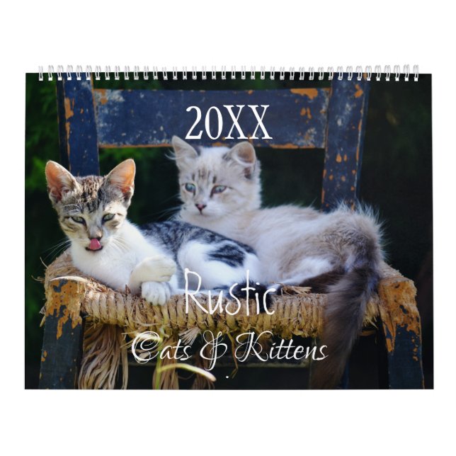 Rustikale Katzen & Kätzchen Kalender HAMbyWG (Titelbild)