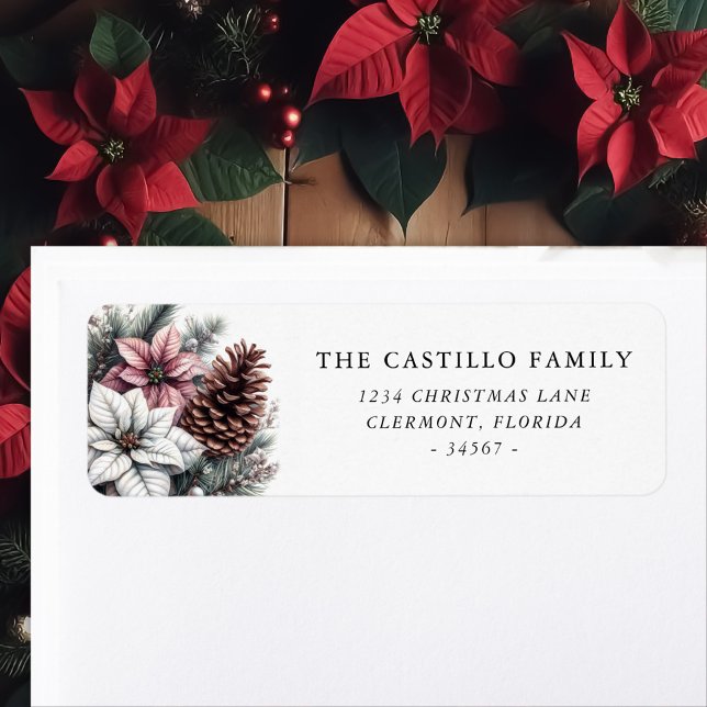 Rustikale Kiefernkone und Poinsettia (Von Creator hochgeladen)