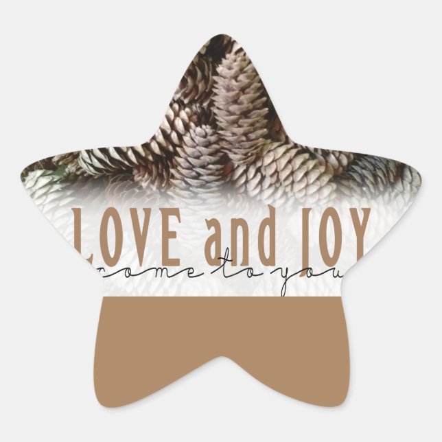 Rustikale Liebe und Joy Pine Cone Stern-Aufkleber (Vorderseite)