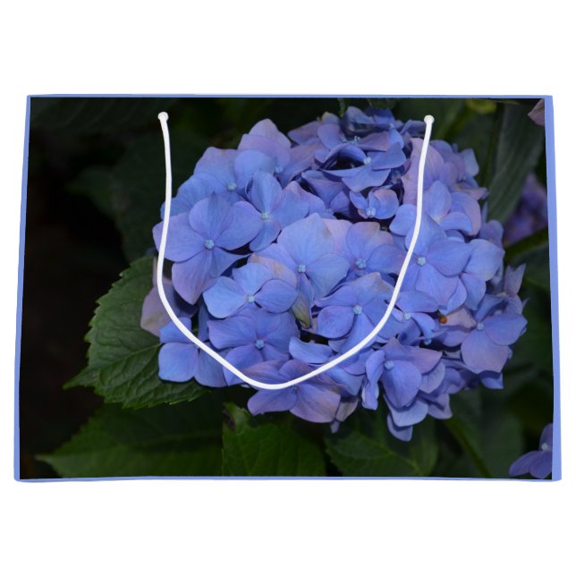 Rustikale Lila Hydrangea macrophylla   Große Geschenktüte (Vorderseite)