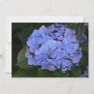 Rustikale Lila Hydrangea makrophylla Einladung