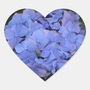 Rustikale Lila Hydrangea makrophylla Herz-Aufkleber