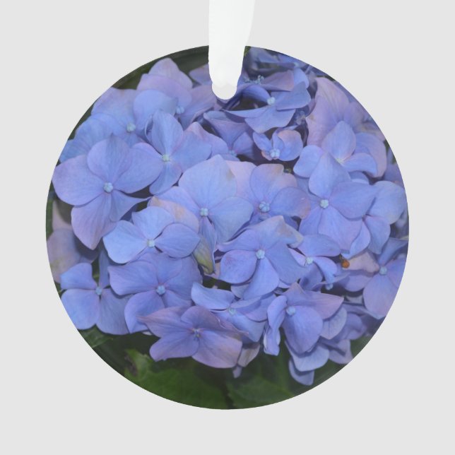 Rustikale Lila Hydrangea makrophylla Ornament (Vorderseite)