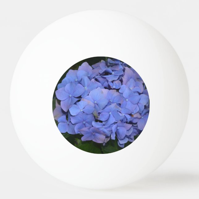 Rustikale Lila Hydrangea makrophylla Tischtennisball (Vorderseite)