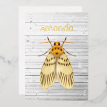 Rustikale Mottenfolie