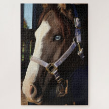 Rustikale Pferdefotografie-Puzzle - Originalfoto