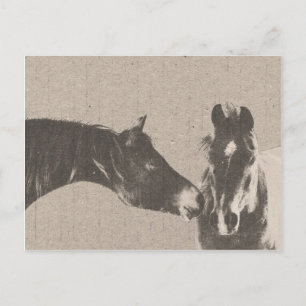 Rustikale Pferdeköpfe Postkarte