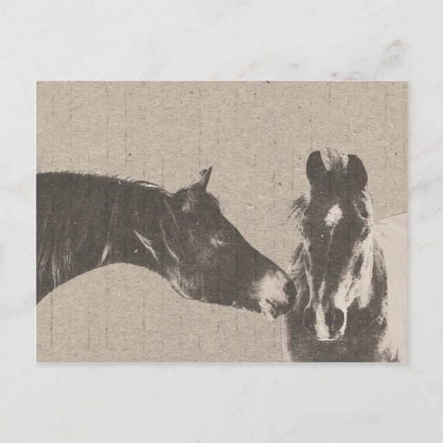 Rustikale Pferdeköpfe Postkarte (Vorderseite)