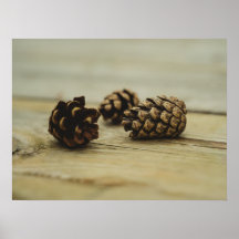 Rustikale Pinecones auf Wälder Natur Stillleben Fo