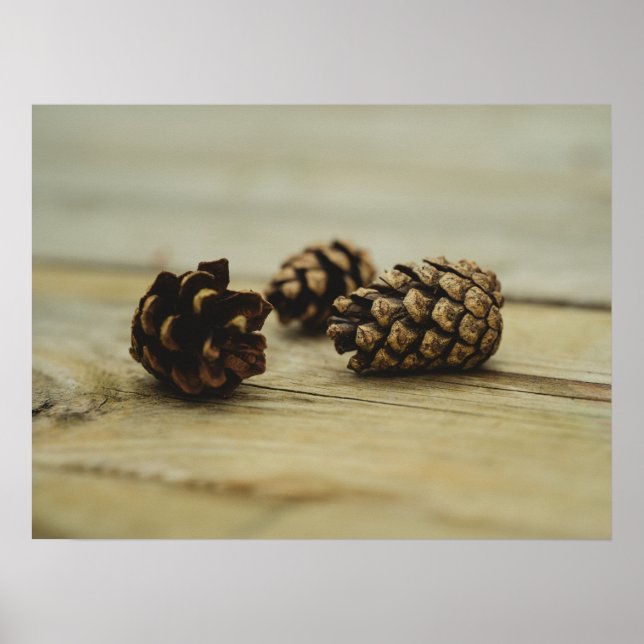 Rustikale Pinecones auf Wälder Natur Stillleben Fo Poster (Vorne)