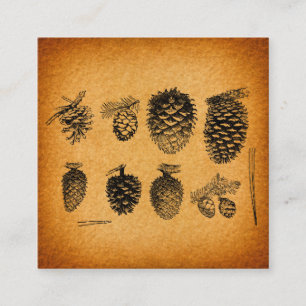 Rustikale Pinecones Pine Cone Kunst, Dichtung und  Begleitkarte