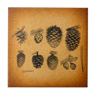 Rustikale Pinecones Pine Cone Kunst, Dichtung und  Fliese