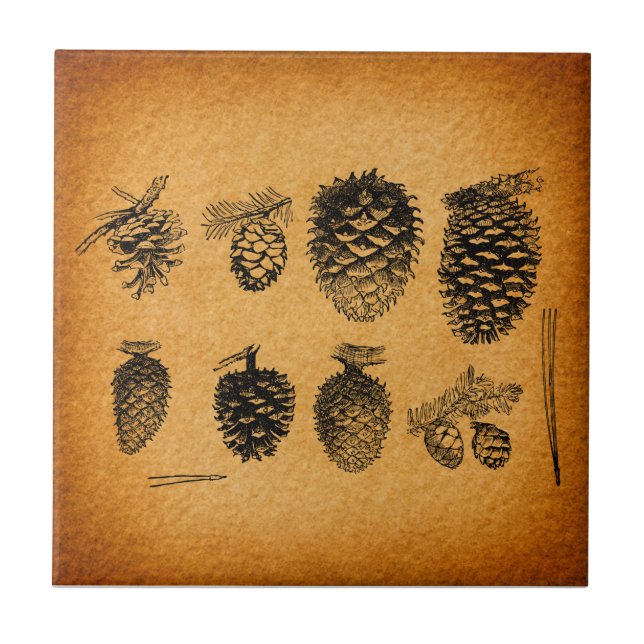 Rustikale Pinecones Pine Cone Kunst, Dichtung und  Fliese (Vorderseite)