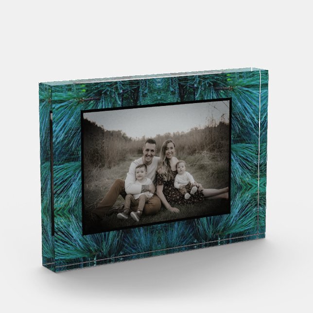 Rustikale Pinienwälder, immergrün Fotoblock (Links)