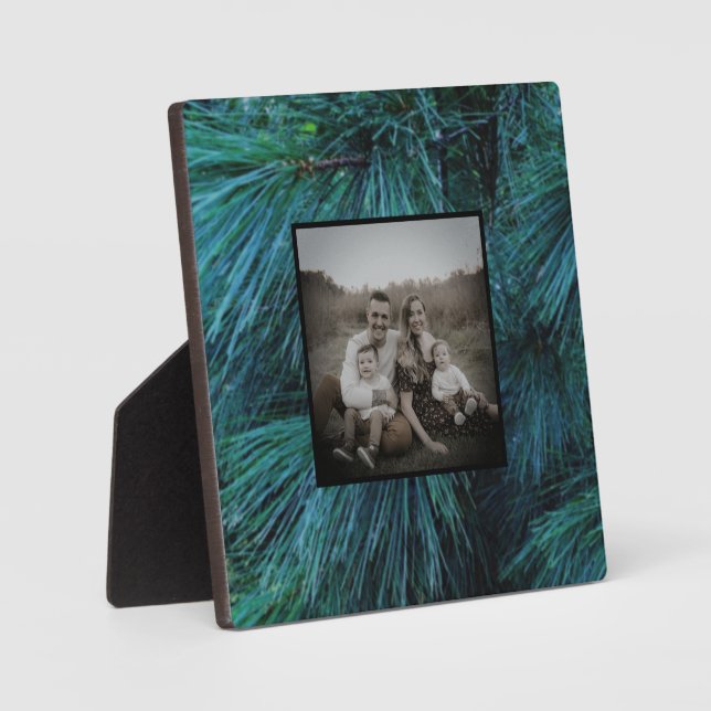 Rustikale Pinienwälder, immergrün Fotoplatte (Vorderseite)