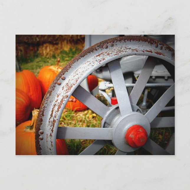 Rustikale Pumpkins Postkarte (Vorderseite)