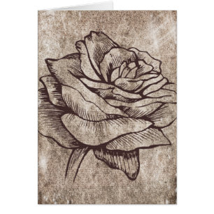 Rustikale Rose Tinte Zeichnend