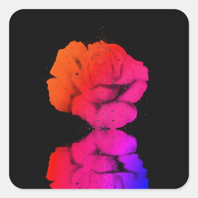 Rustikale Rote Rose Blumenkohl Wassertropfen Kunst Quadratischer Aufkleber (Vorderseite)