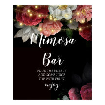 Rustikale Saitenleuchten Brautparty mimosa Bar