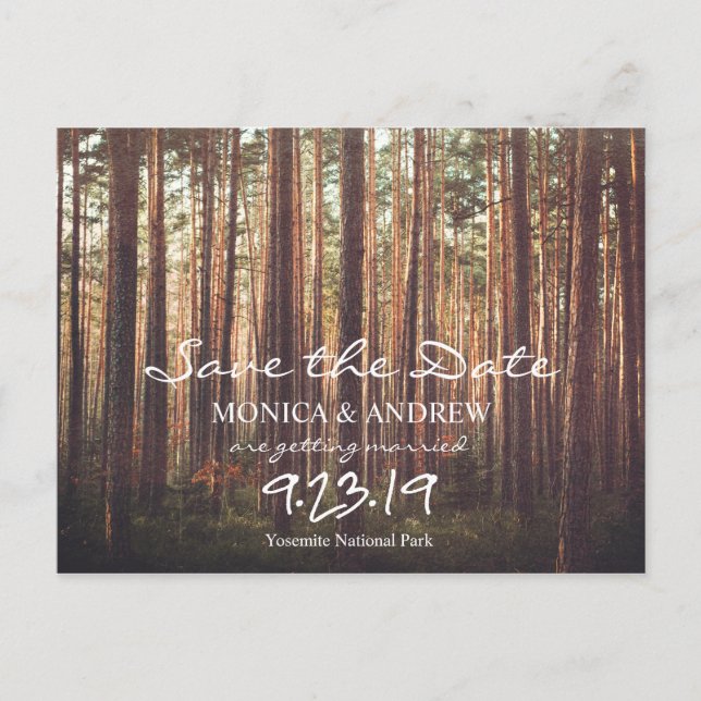 Rustikale Save-the-Date-Wald-Baum-Postkarte Feiertagspostkarte (Vorderseite)