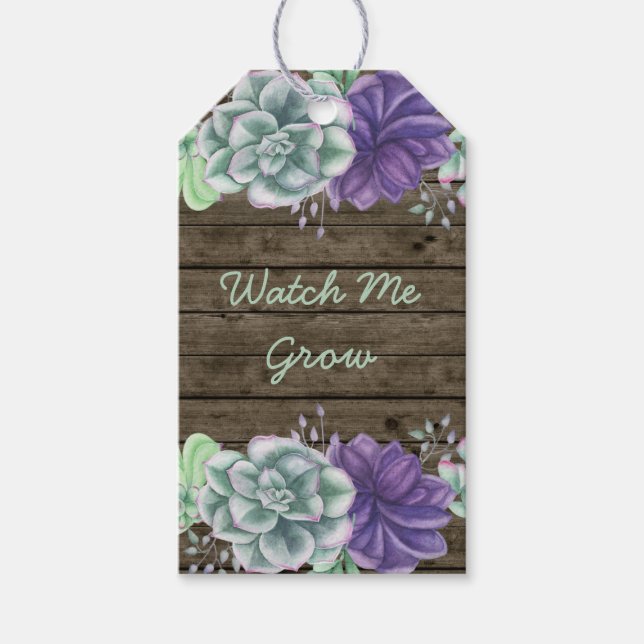 Rustikale Sukkulent beobachten, wie ich eine Babyd Geschenkanhänger (Vorderseite)