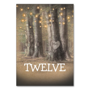 Rustikale Tischnummer von Baumhirten und Strandleu