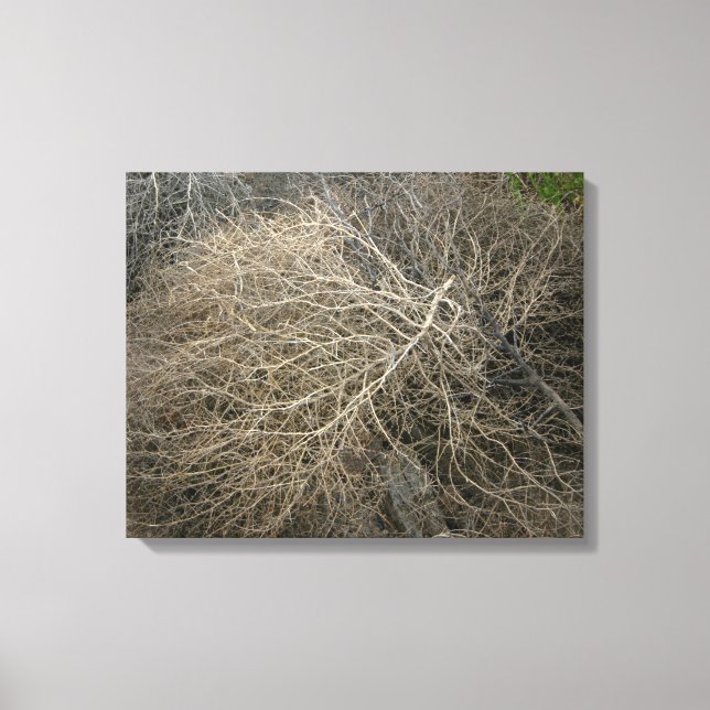Rustikale Tumbleweed Wrapped Canvas Art Leinwanddruck (Vorderseite)