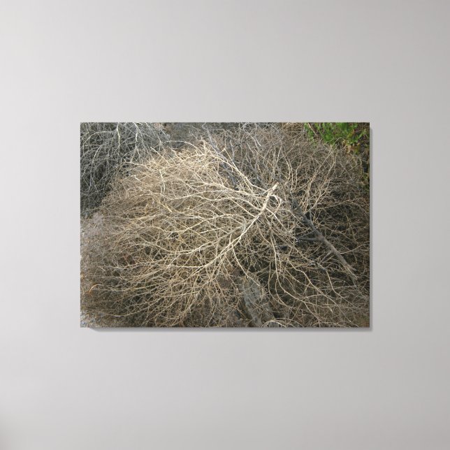 Rustikale Tumbleweed Wrapped Canvas Art Leinwanddruck (Vorderseite)