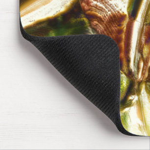 Rustikale 'Verkettete Holzstumpf-Vergrößerung' Mousepad