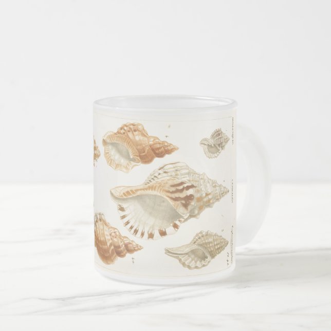 Rustikale Vintage Mollusken Seashell Kaffee Tasse (VorderseiteRechts)